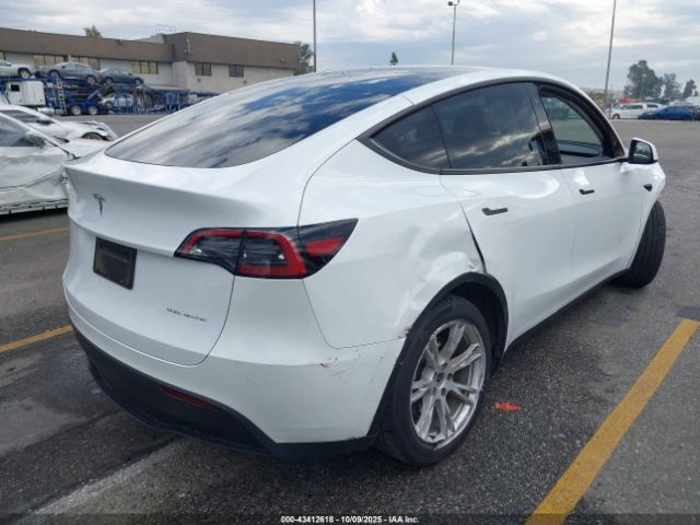 2023 TESLA MODEL Y 7SAYGAEE2PF763662 Photo 3