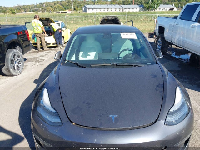2019 TESLA MODEL 3 5YJ3E1EB0KF391640 Photo 5