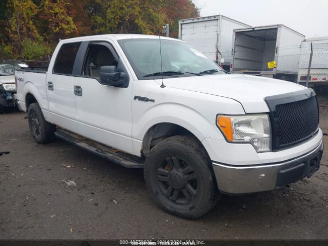 2009 FORD F-150 1FTPW14V69KC72076