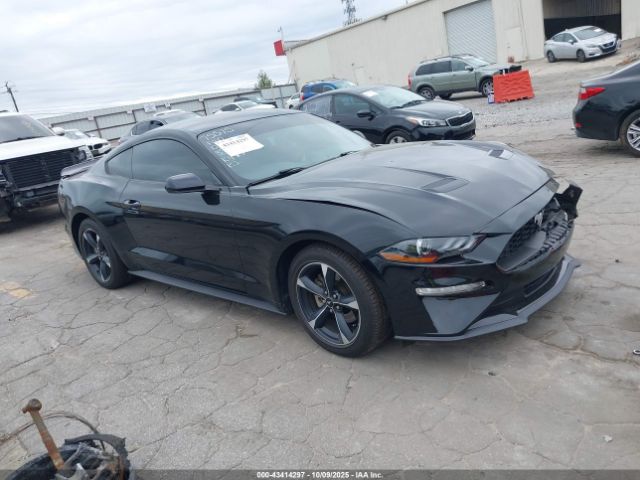 2019 FORD MUSTANG 1FA6P8TH3K5203868