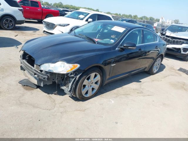 2011 JAGUAR XF SAJWA0FB0BLS10228 Photo 1