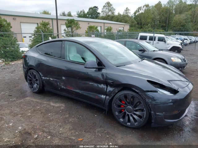 2024 TESLA MODEL Y 7SAYGDEFXRF022852 Photo 0