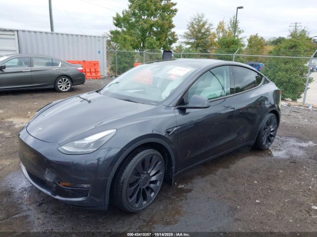 2024 TESLA MODEL Y 7SAYGDEFXRF022852 Photo 1