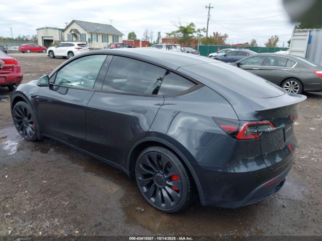 2024 TESLA MODEL Y 7SAYGDEFXRF022852 Photo 2
