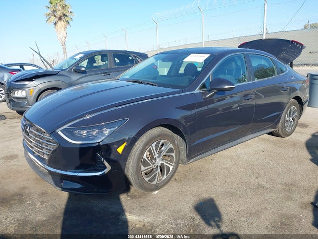KMHL24JJ6PA060645 Hyundai Sonata Hybrid Blue