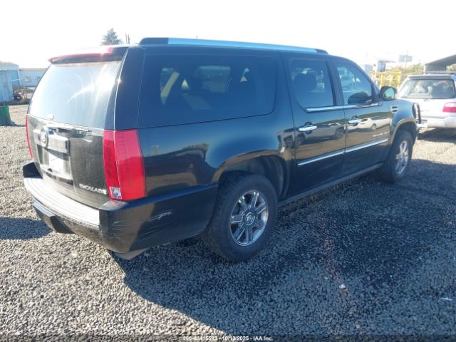 2009 CADILLAC ESCALADE ESV 1GYFC26279R131726 Photo 3
