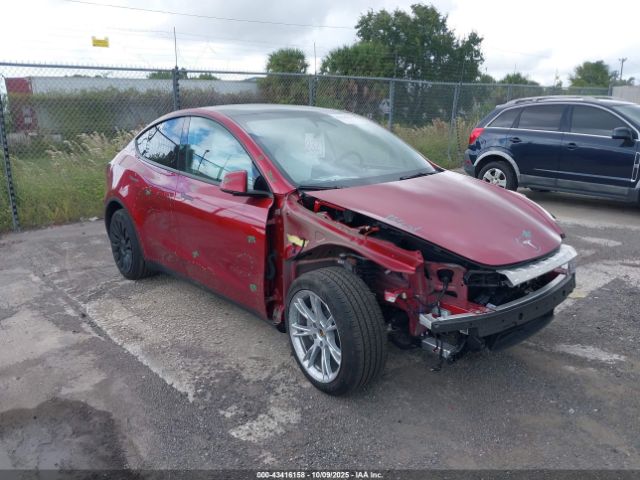 2024 TESLA MODEL Y 7SAYGDEEXRA245350 Photo 0