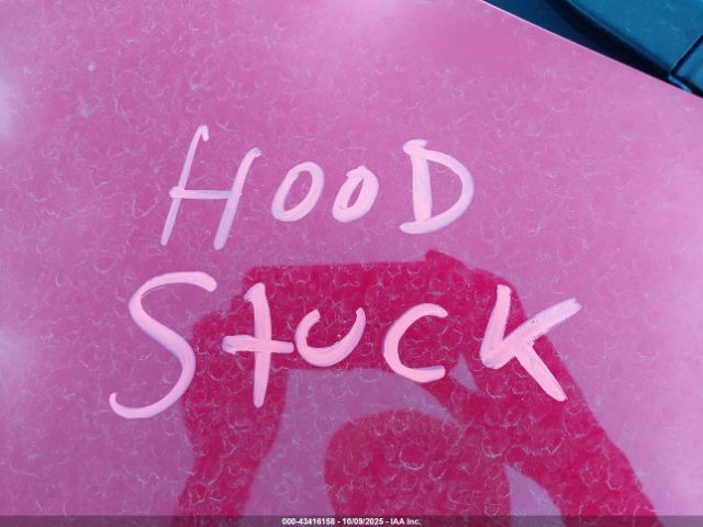 2024 TESLA MODEL Y 7SAYGDEEXRA245350 Photo 9