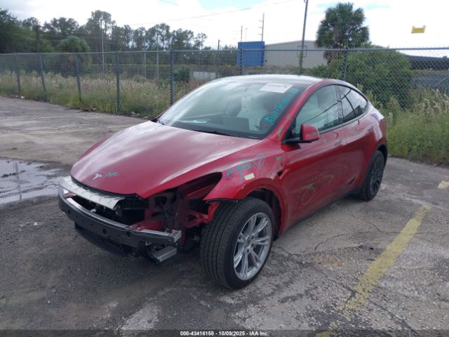 2024 TESLA MODEL Y 7SAYGDEEXRA245350 Photo 1
