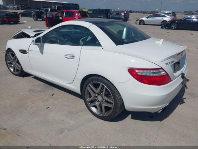 2015 MERCEDES-BENZ SLK 250 WDDPK4HA6FF097441 Photo 2