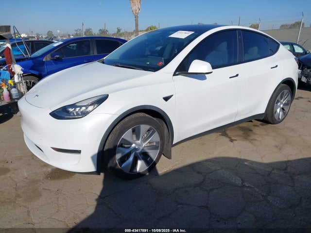 2021 TESLA MODEL Y 5YJYGDEE4MF066357 Photo 1