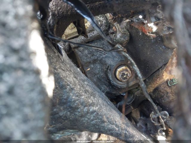 2023 LEXUS ES 250 58AD11D14PU011341 Photo 10