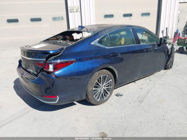 2023 LEXUS ES 250 58AD11D14PU011341 Photo 3