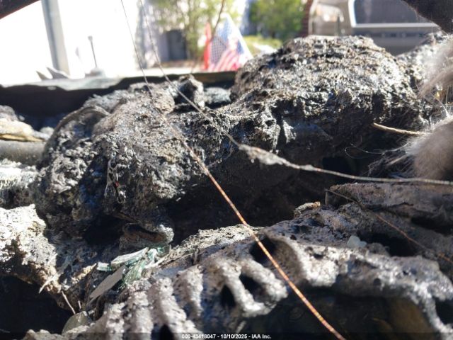 2023 LEXUS ES 250 58AD11D14PU011341 Photo 6