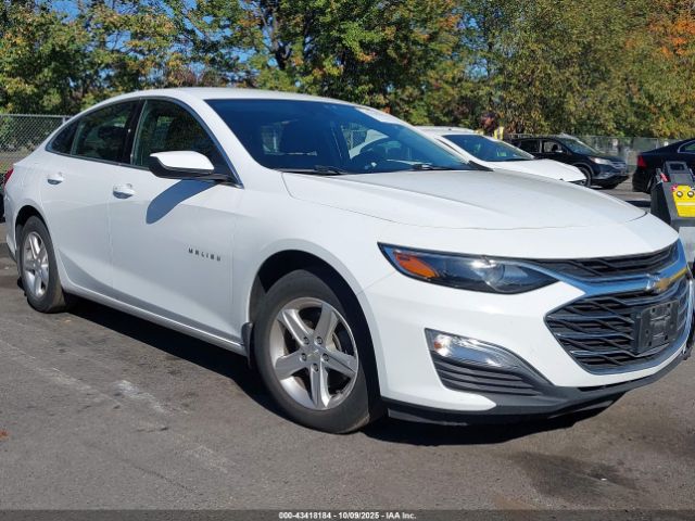 2021 CHEVROLET MALIBU 1G1ZB5ST7MF042540