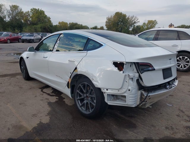 2019 TESLA MODEL 3 5YJ3E1EAXKF416664 Photo 2