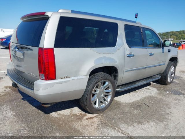2007 CADILLAC ESCALADE ESV 1GYFK66827R305441 Photo 3