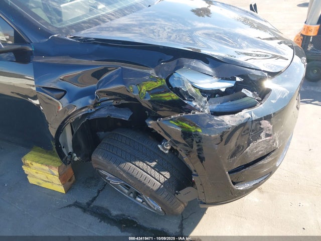 2025 TESLA MODEL Y 7SAYGDED7SF233964 Photo 5