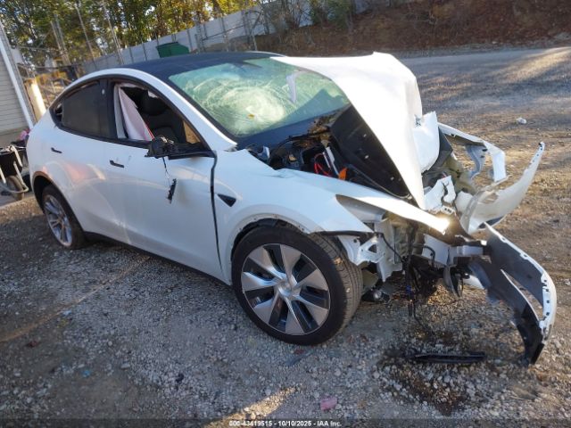 2023 TESLA MODEL Y 7SAYGDEE3PF766927 Photo 0