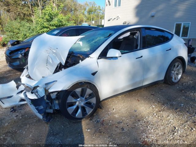 2023 TESLA MODEL Y 7SAYGDEE3PF766927 Photo 1