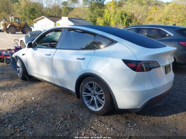2023 TESLA MODEL Y 7SAYGDEE3PF766927 Photo 2