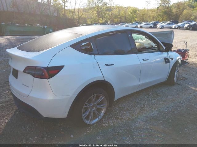 2023 TESLA MODEL Y 7SAYGDEE3PF766927 Photo 3
