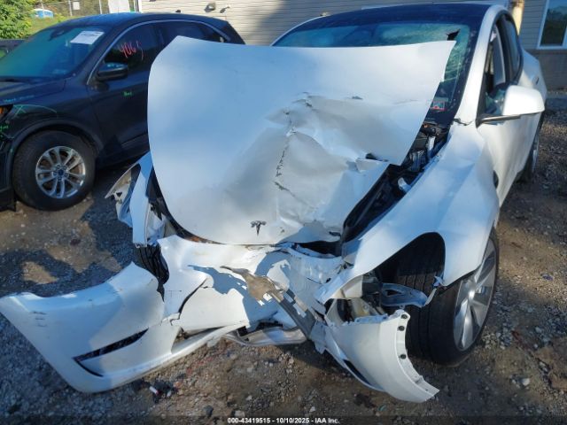 2023 TESLA MODEL Y 7SAYGDEE3PF766927 Photo 5