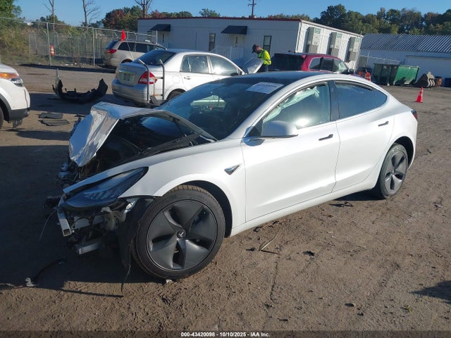 2020 TESLA MODEL 3 5YJ3E1EA3LF504179 Photo 1