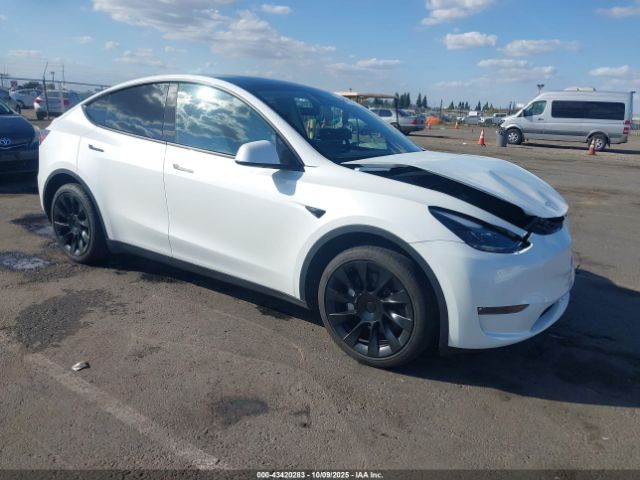2023 TESLA MODEL Y 7SAYGDEE1PF947492 Photo 0