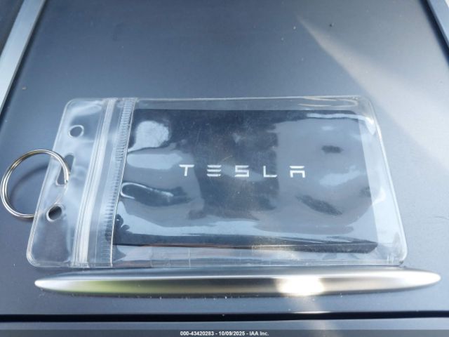2023 TESLA MODEL Y 7SAYGDEE1PF947492 Photo 10