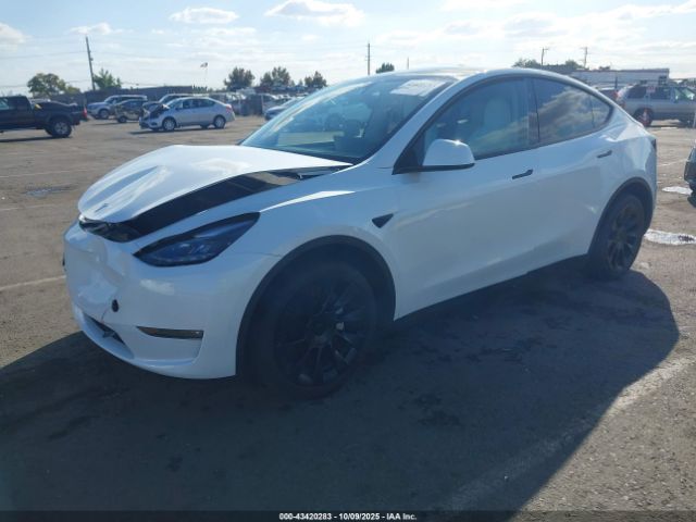 2023 TESLA MODEL Y 7SAYGDEE1PF947492 Photo 1
