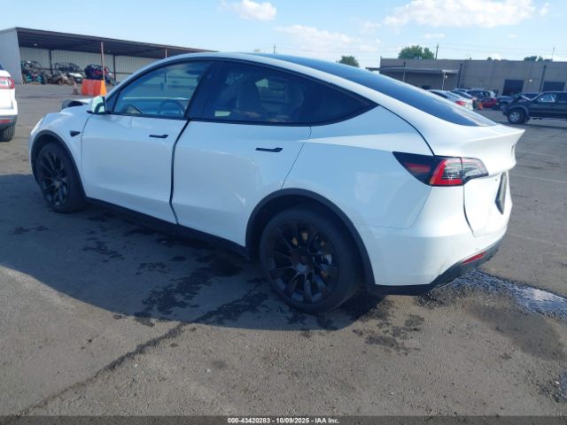 2023 TESLA MODEL Y 7SAYGDEE1PF947492 Photo 2