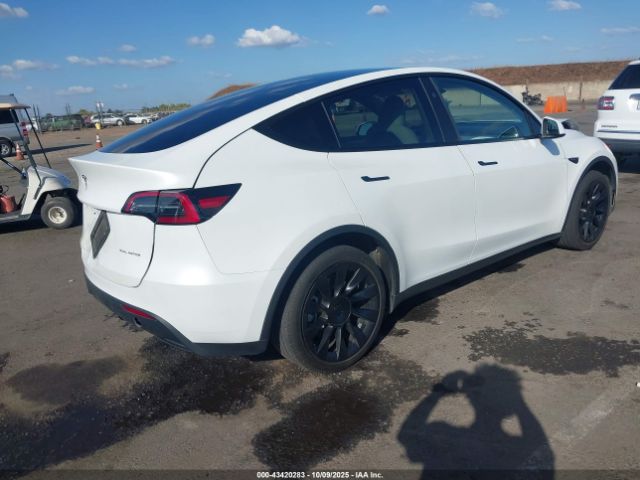 2023 TESLA MODEL Y 7SAYGDEE1PF947492 Photo 3