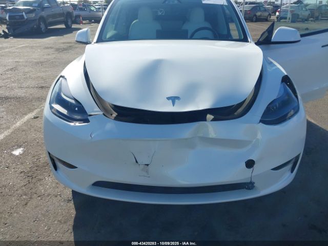 2023 TESLA MODEL Y 7SAYGDEE1PF947492 Photo 5