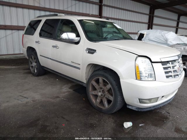 2011 CADILLAC ESCALADE 1GYS3CEF0BR130853 Photo 0