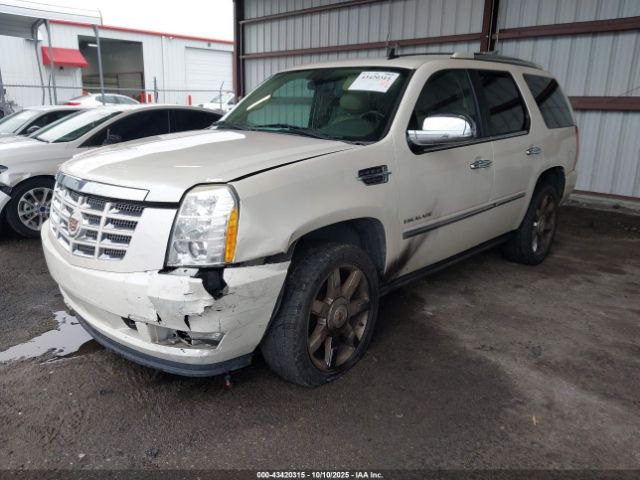 2011 CADILLAC ESCALADE 1GYS3CEF0BR130853 Photo 1