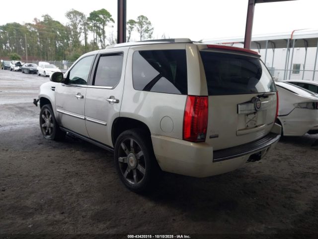 2011 CADILLAC ESCALADE 1GYS3CEF0BR130853 Photo 2