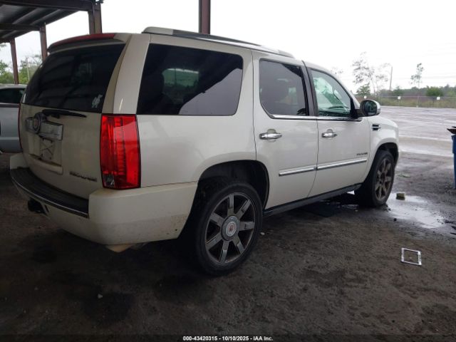 2011 CADILLAC ESCALADE 1GYS3CEF0BR130853 Photo 3