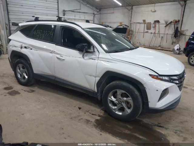 2023 HYUNDAI TUCSON 5NMJBCAE9PH227725