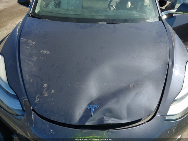 2020 TESLA MODEL 3 5YJ3E1EA7LF598910 Photo 9