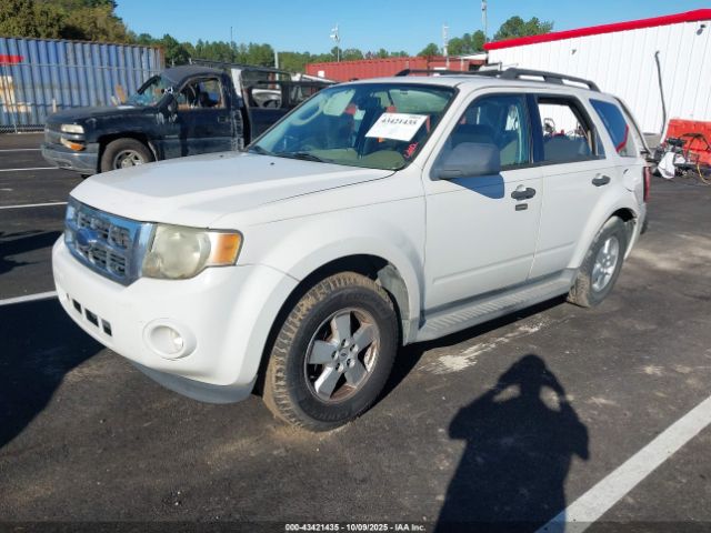 2009 FORD ESCAPE 1FMCU03G59KB61676 Photo 1
