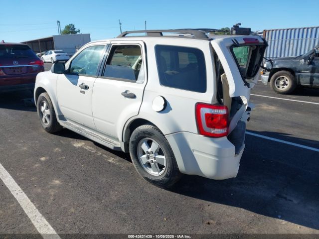 2009 FORD ESCAPE 1FMCU03G59KB61676 Photo 2