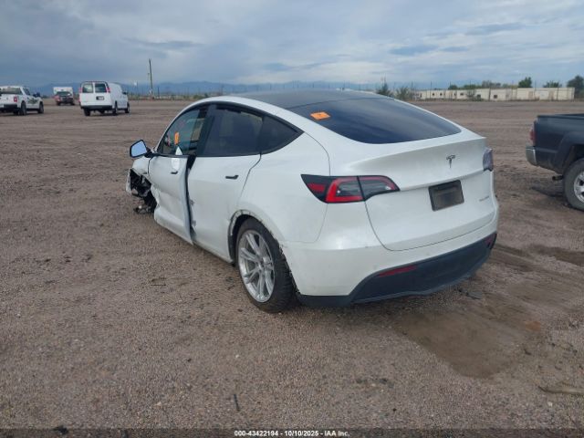 2020 TESLA MODEL Y 5YJYGDEE8LF052749 Photo 2