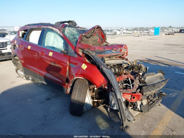 2019 FORD ESCAPE 1FMCU0HD7KUA54010