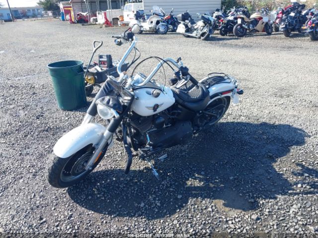 2011 HARLEY-DAVIDSON FLSTFB 1HD1JN515BB015311 Photo 1