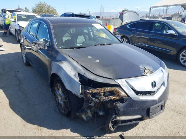 2009 ACURA TL 19UUA86589A009604