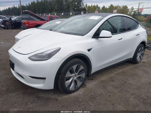 2023 TESLA MODEL Y 7SAYGDEE9PF608091 Photo 1