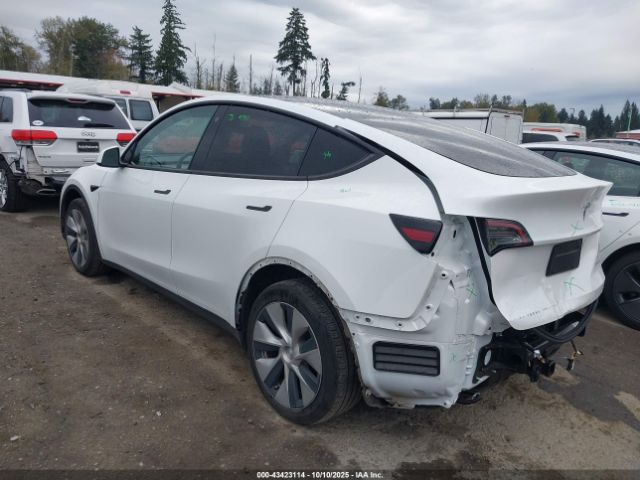 2023 TESLA MODEL Y 7SAYGDEE9PF608091 Photo 2