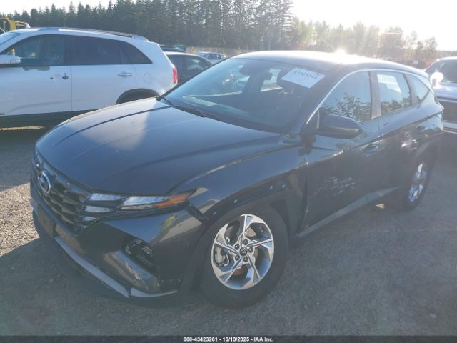 2023 HYUNDAI TUCSON 5NMJA3AE1PH262486 Photo 1