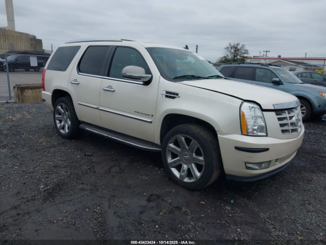 2009 CADILLAC ESCALADE 1GYFK13259R250022